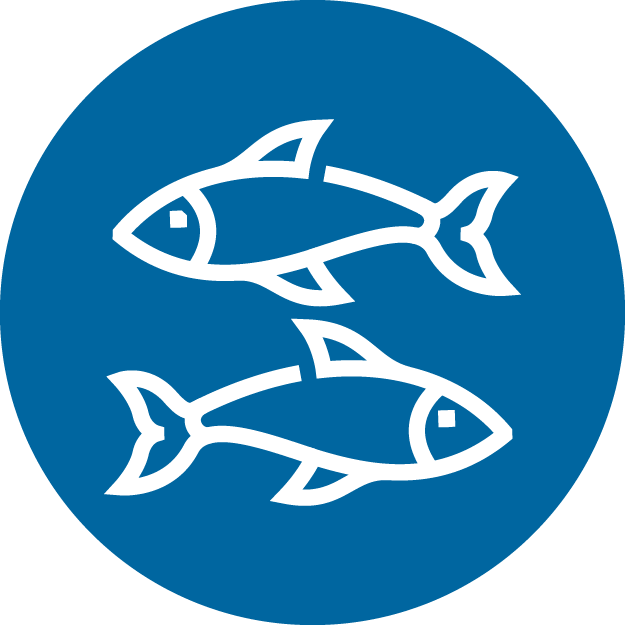 An icon of a two fish in a blue circle.